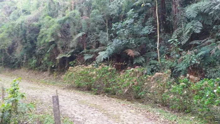 Lote São Gotardo - Monteiro Lobato/SP para venda