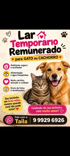 Lar temporário remunerado para cachorros e gatos