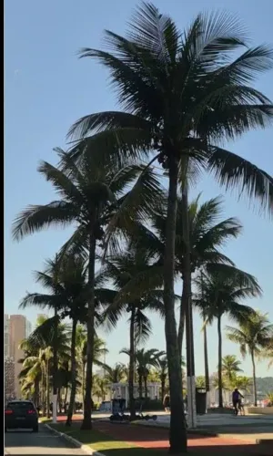 Carrinho de praia