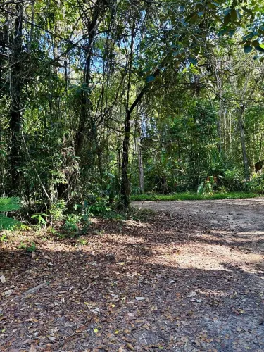 Terreno Arborizado Japara|Arraial dAjuda