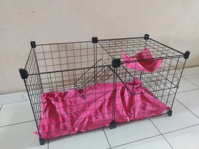 Cercado para porquinho da índia