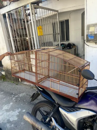 Gaiola de passarinho