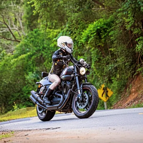 Harley Davidson XR1200X
