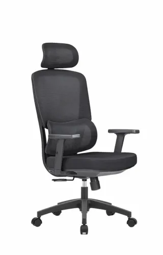 CADEIRA DR. OFFICE WORK PRO - ERGONÔMICA, AJUSTÁVEL E RECLINÁVEL NOVA