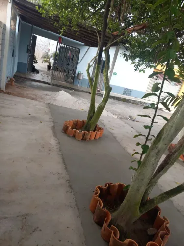 Proprietária