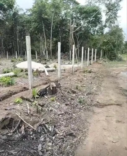 Vendo terreno limpo 