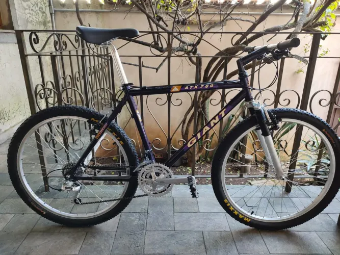 Giant ATX 780