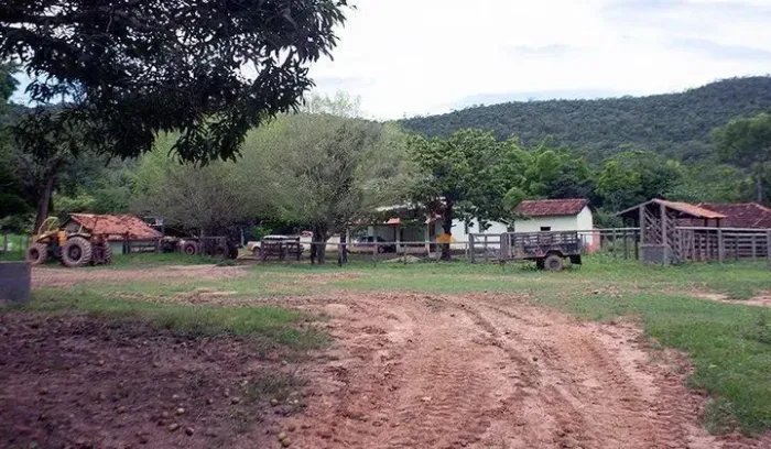 Fazenda em Unai - Minas Gerais, à venda com 874ha - Para manejo de gado.
