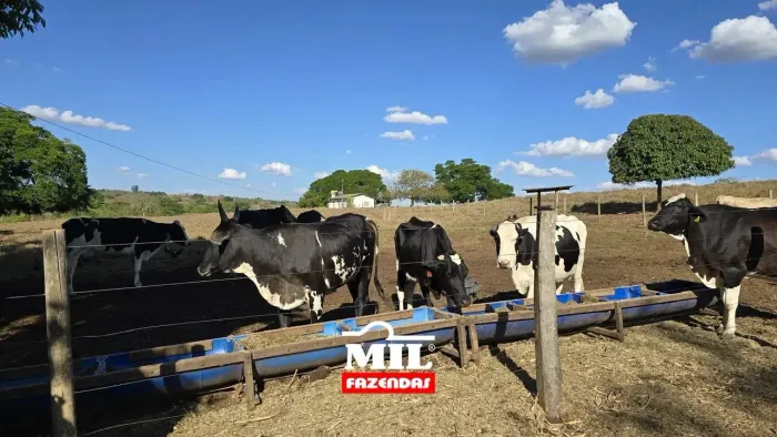 Fazenda bem Estruturada e Riquíssima em Água no mun. de Hidrolândia GO