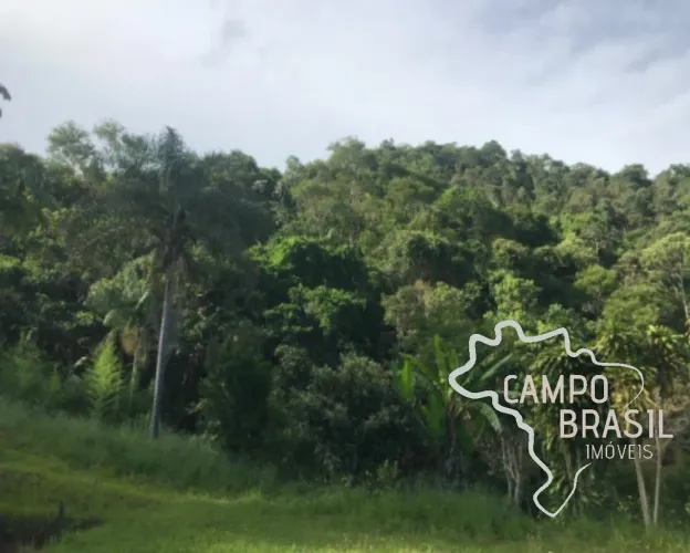 ÁREA RURAL 10 ALQUEIRES EM SÃO FRANCISCO XAVIER !