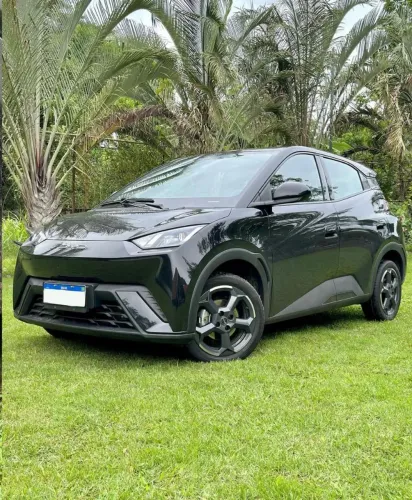 BYD Dolphin Mini (Elétrico) 2024