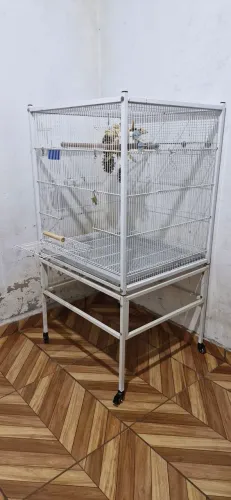 Gaiola grande da gaiopar