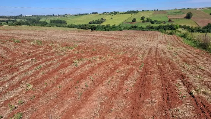 Sítio com 5,50 Alqueires e 100m de Cabeceira para Rodovia PR 454 em Astorga - PR