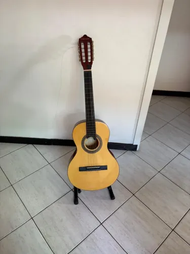 Viola Giannini GVS 15  10 cordas