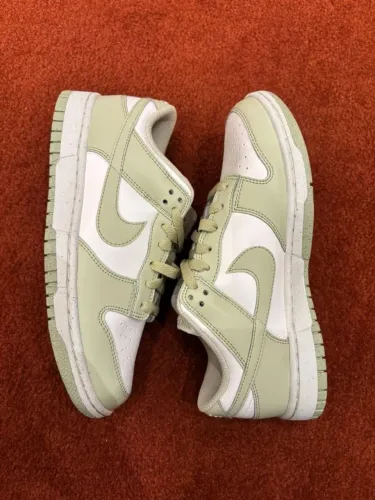Nike dunk low next nature