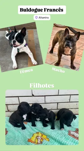 Mais informações *72