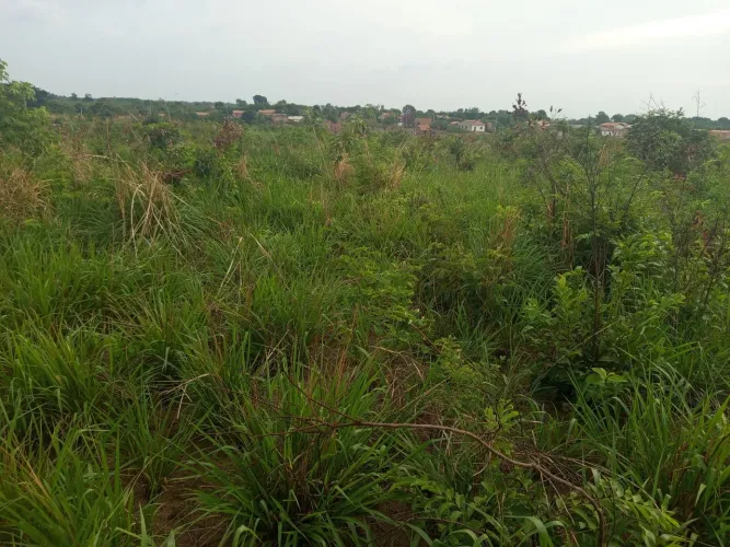 Lote 10x20 no bairro Cibrazem, perto do matadouro.