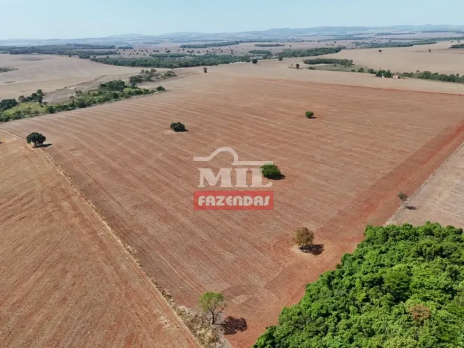 Fazenda 12,78 Alqueires (61,86 Hectares) Palminópolis - GO