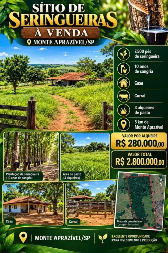 SÍTIO DE SERINGUEIRAS À VENDA  MONTE APRAZÍVEL/SP