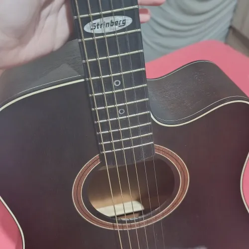 Violão strinberg aço