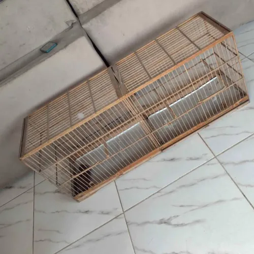 Vendo um voador de trinca ferro em perfeito estado