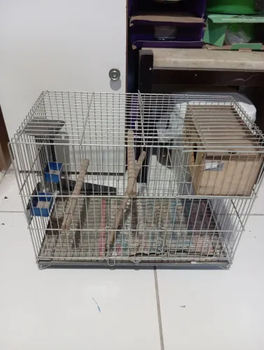 Gaiola para passarinho