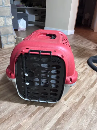 Transporte de pet