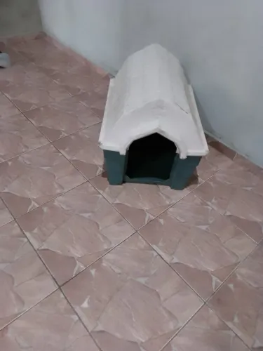 Casinha grande do peti
