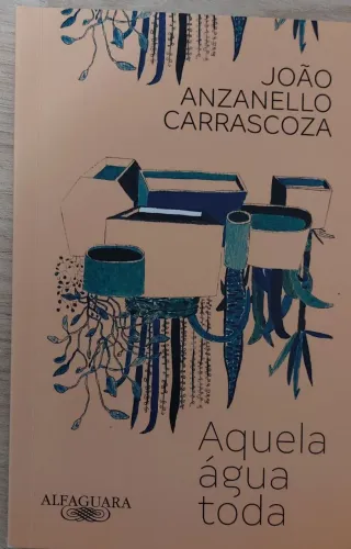 Livro Aquela água toda - João Anzanello Carrascoza