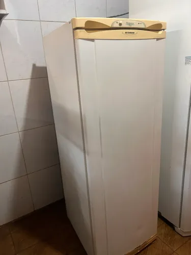 Freezer vertical