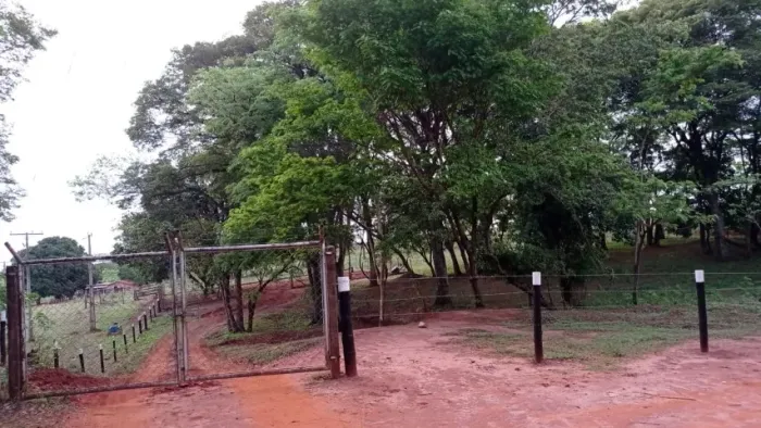 Chácara Urânia/SP - 30.000 m2 - 200m do Asfalto