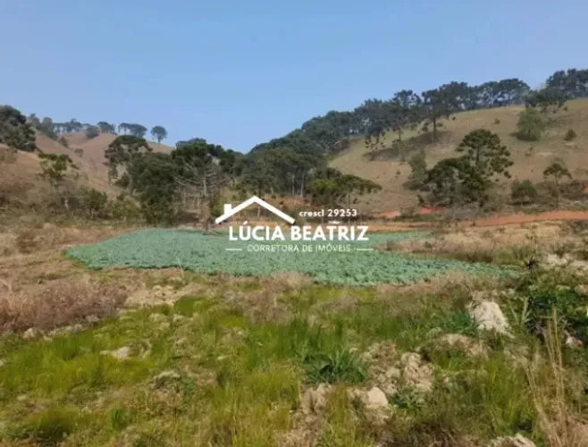 Oferta Imperdível! Chácara de 10.000m2 rica em agua em Delfim Moreira-MG