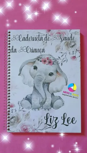 CADERNETA DE SAÚDE E CARTÃO DO SUS