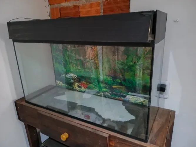 Aquário