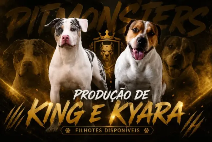 Pit Monsters