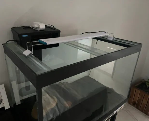 Aquário