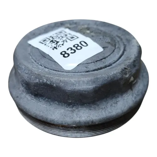CALOTA DO CUBO DE RODA CAMINHÃO VW 11180