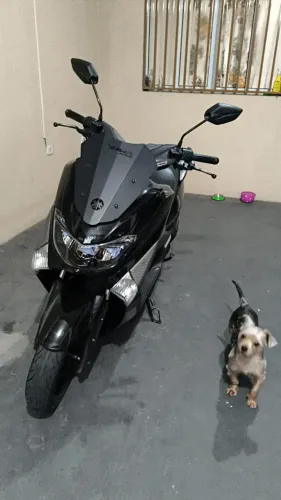 Nmax 160