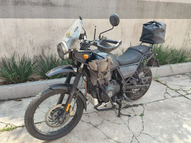 Himalayan segundo dono