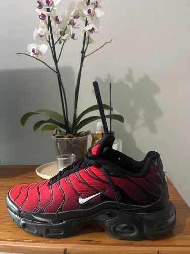 Tênis Nike Tn air Max 