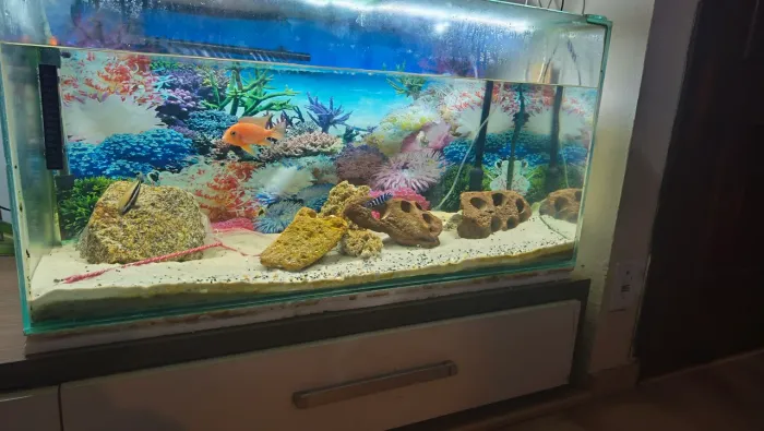 Aquário 200 litros