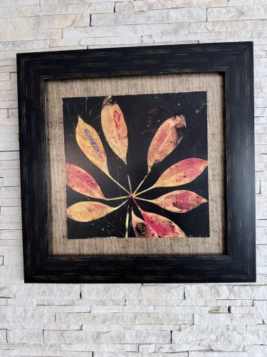 Quadro Decorativo Botânico Emoldurado ?Botany Trip VII? - John Douglas
