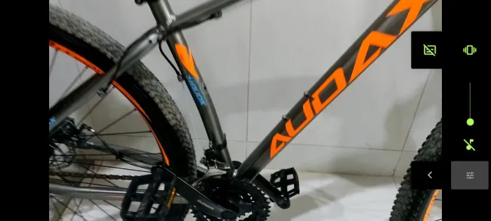 Bike Audax 29