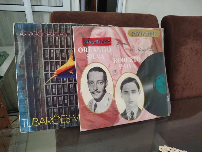 Vendo lote com mil vinis de todos estilos . 