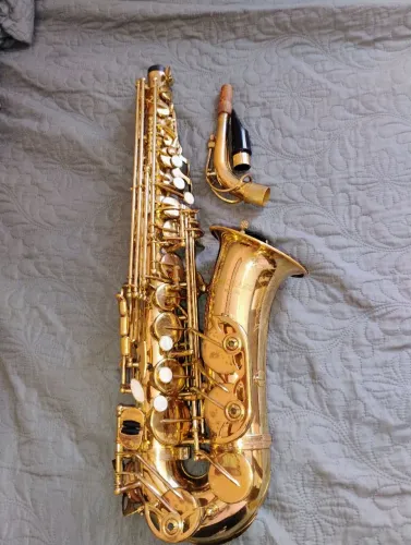 Vendo um saxofone auto de marca Michael sinze 2000 valor 1700 reais todo revisado ótimo 