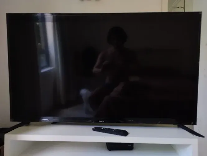 TV Philco 50" Modelo PTV50D60SA LED (com som e sem imagem)