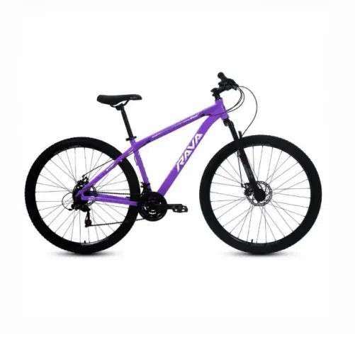 Bicicleta Aro 29 Rava Go Roxa