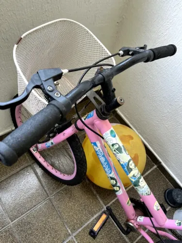 Bicicleta infantil feminina