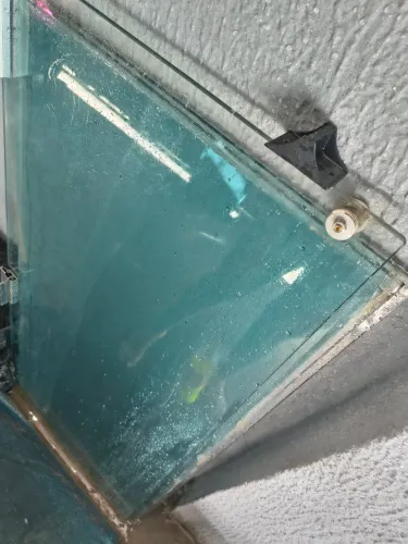 porta de blindex 4 folhas de 55 cm de lar por 117 de altura  