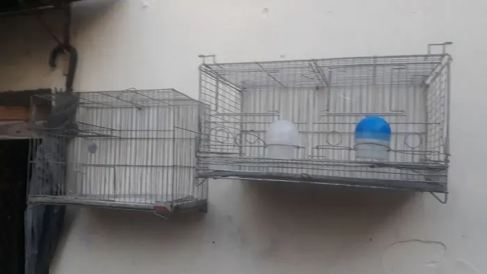 Vendo duas ótimas gaiolas, uma 50,00 e outra 25,00. Baratas